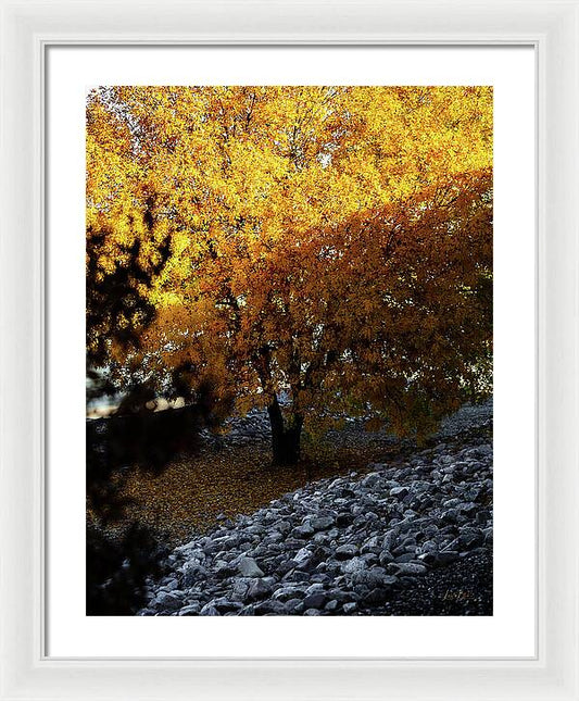 December in Arizona - Framed Print