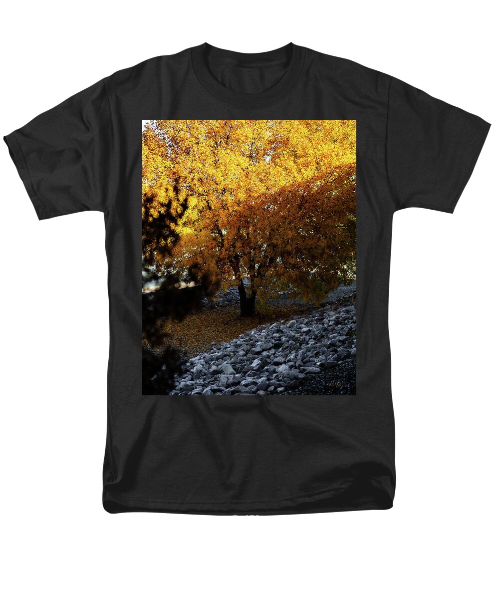 December in Arizona - Men's T-Shirt  (Regular Fit)