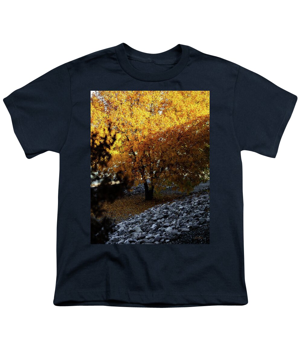 December in Arizona - Youth T-Shirt