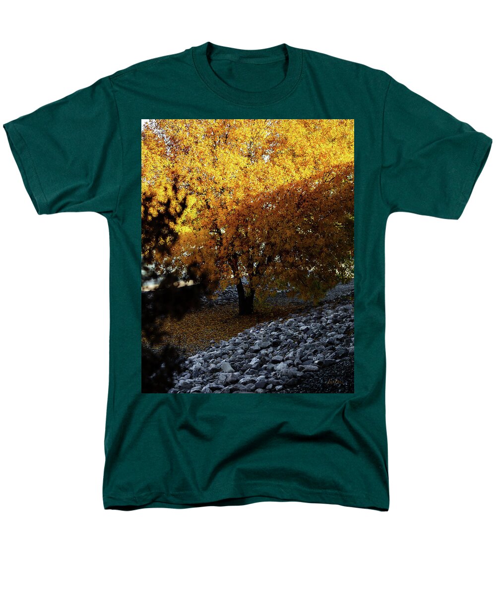 December in Arizona - Men's T-Shirt  (Regular Fit)