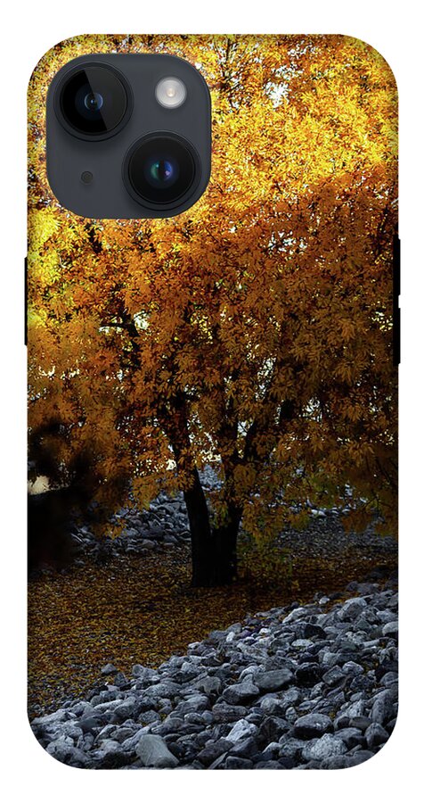 December in Arizona - Phone Case