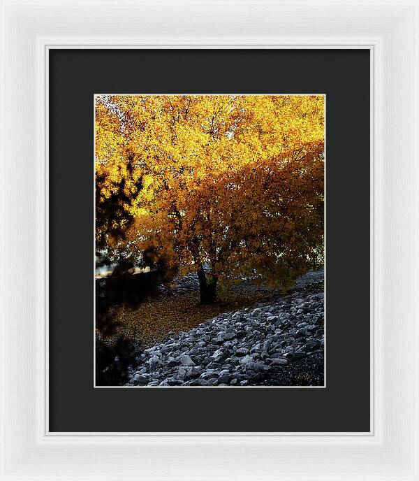 December in Arizona - Framed Print
