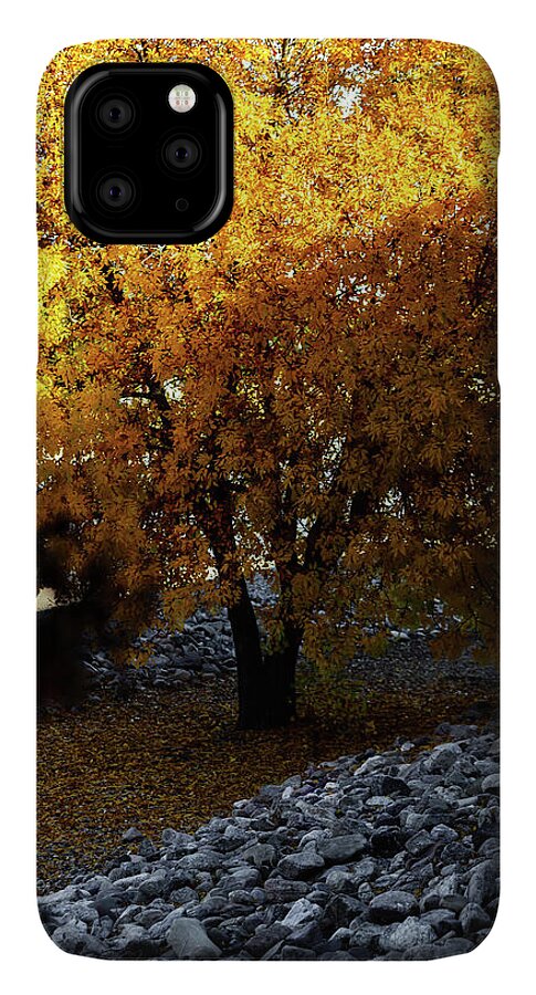 December in Arizona - Phone Case