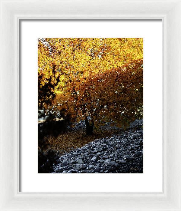 December in Arizona - Framed Print