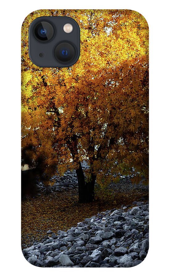 December in Arizona - Phone Case