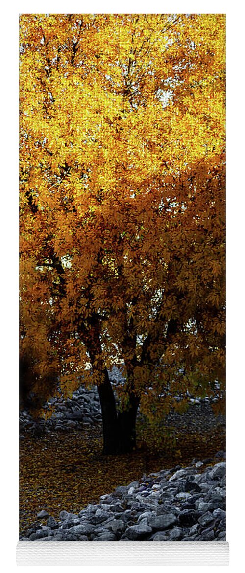 December in Arizona - Yoga Mat