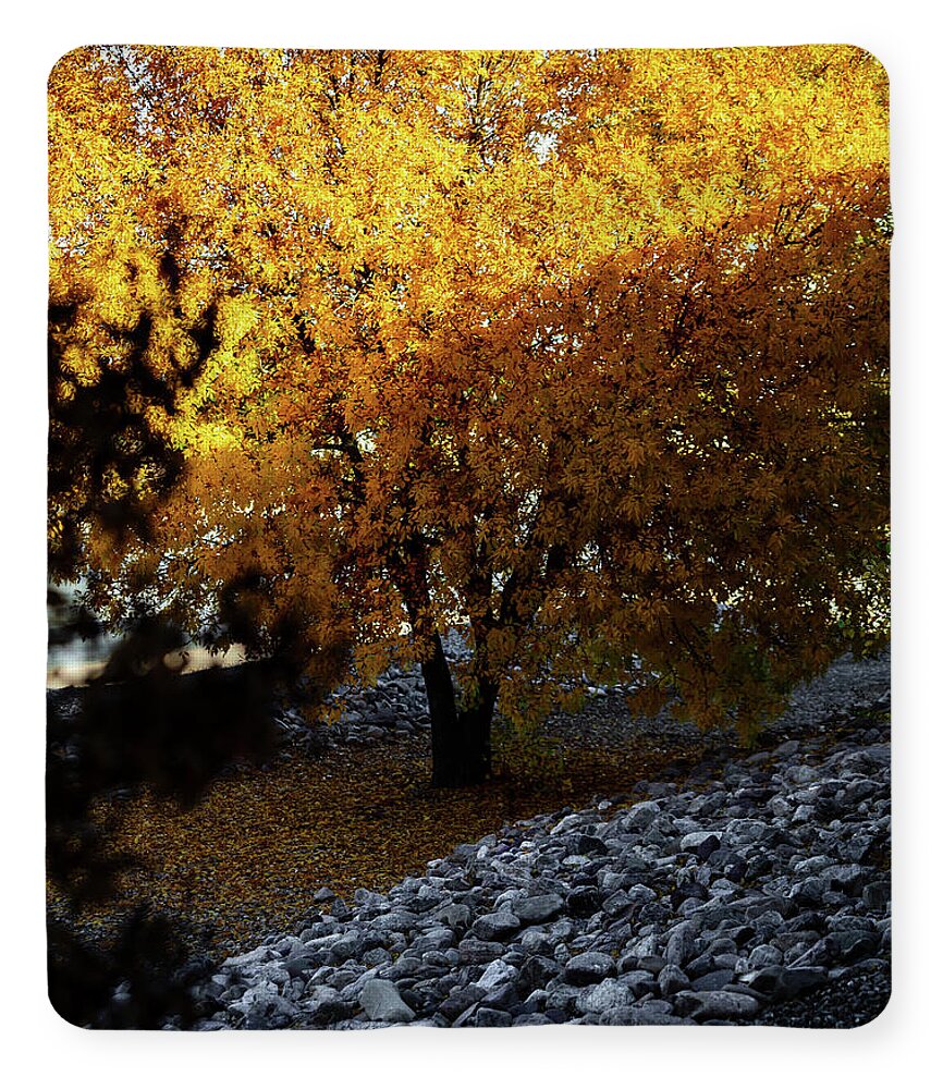 December in Arizona - Blanket