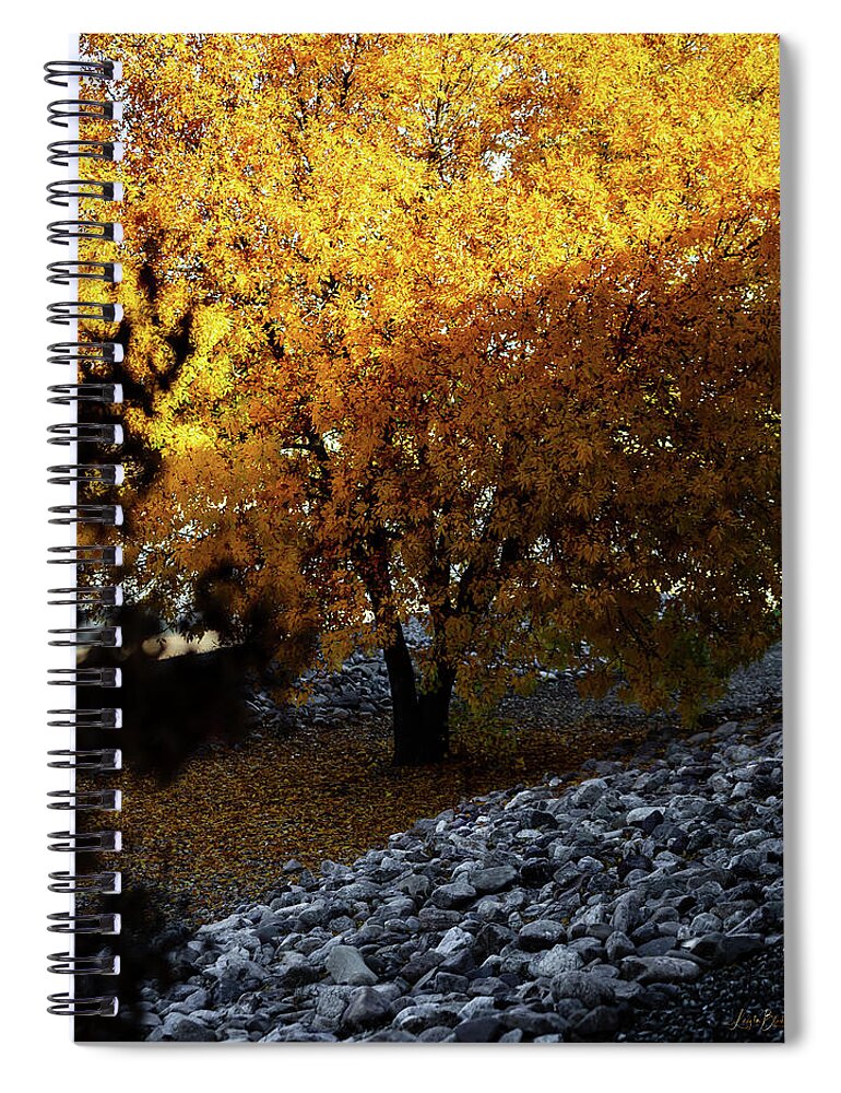 December in Arizona - Spiral Notebook