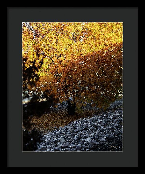 December in Arizona - Framed Print