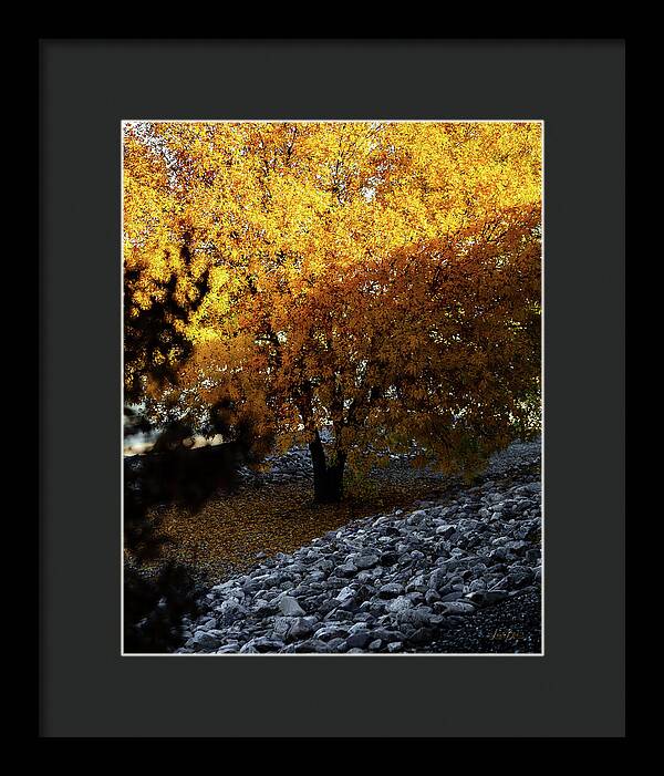 December in Arizona - Framed Print