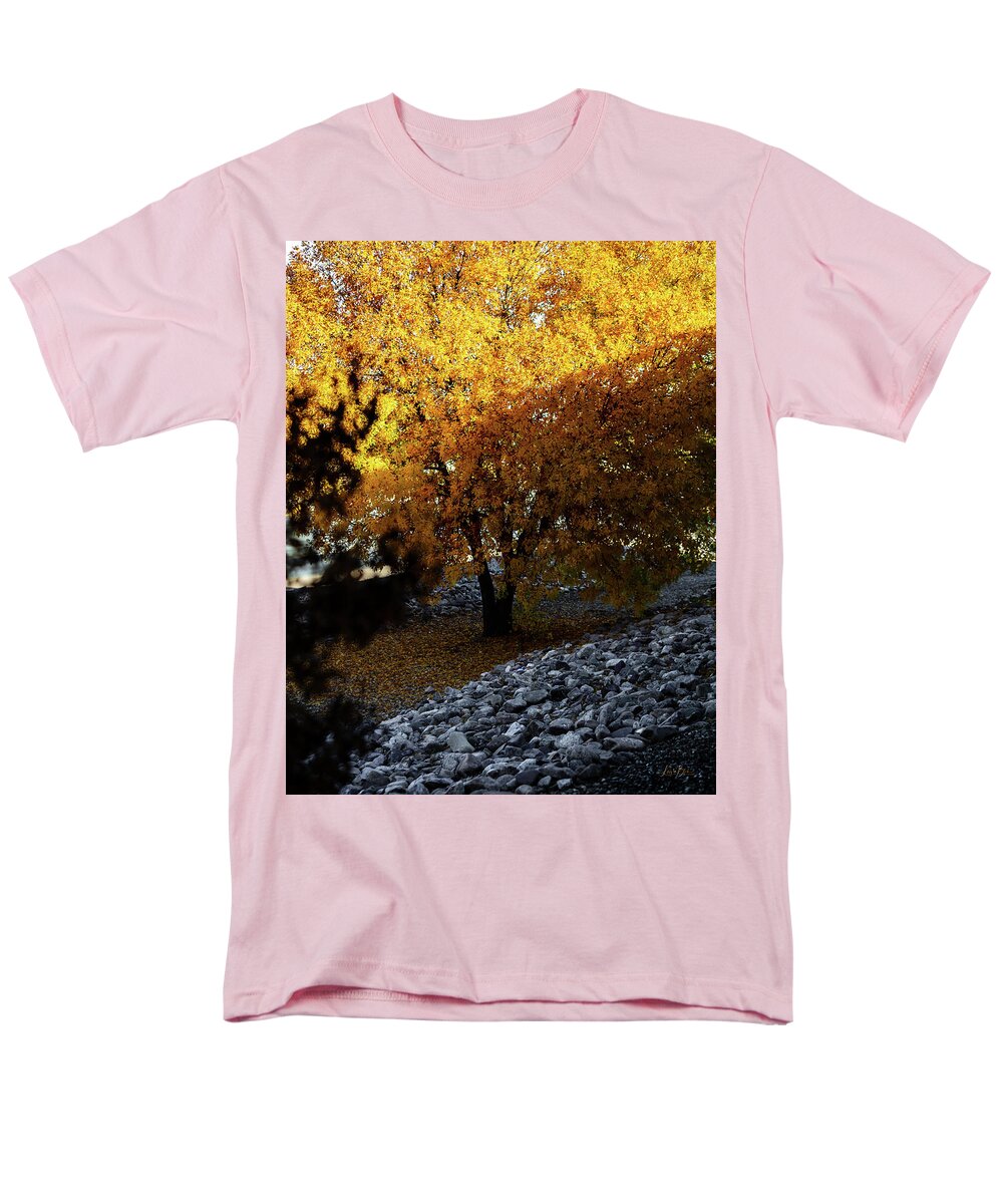 December in Arizona - Men's T-Shirt  (Regular Fit)