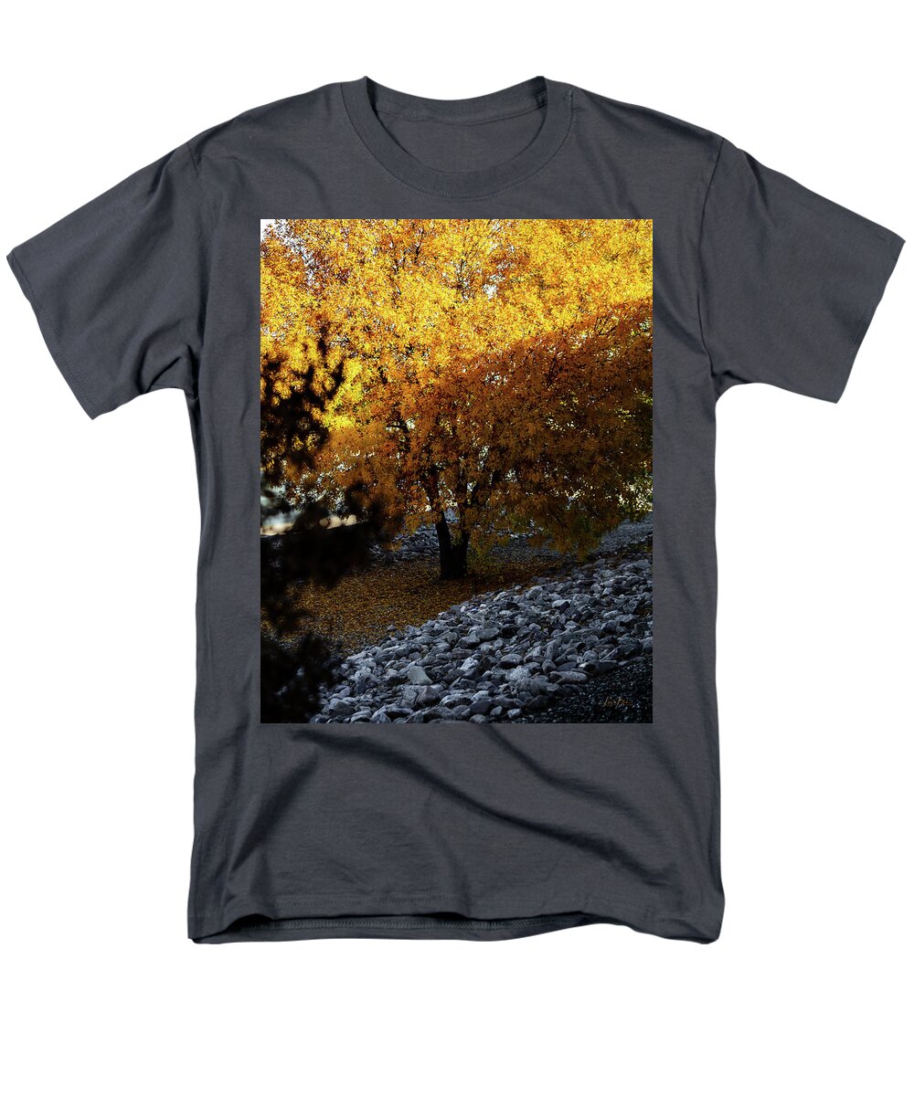 December in Arizona - Men's T-Shirt  (Regular Fit)