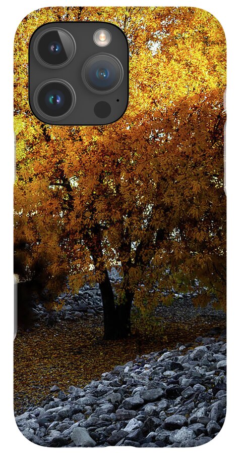 December in Arizona - Phone Case