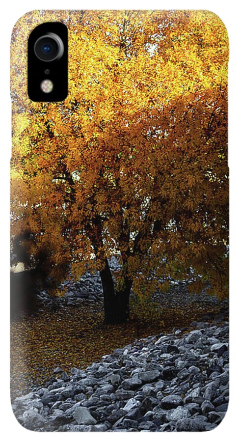 December in Arizona - Phone Case