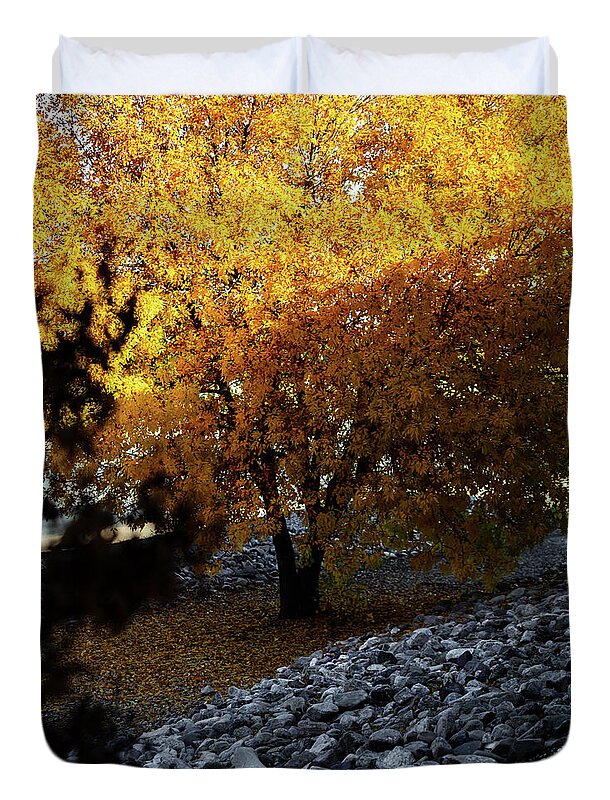 December in Arizona - Duvet Cover