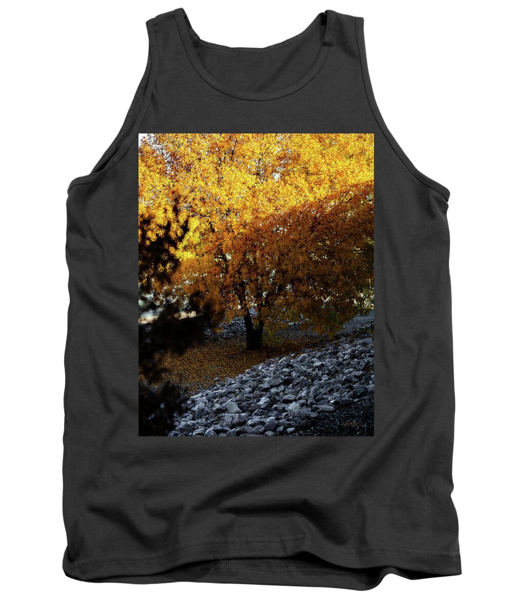 December in Arizona - Tank Top