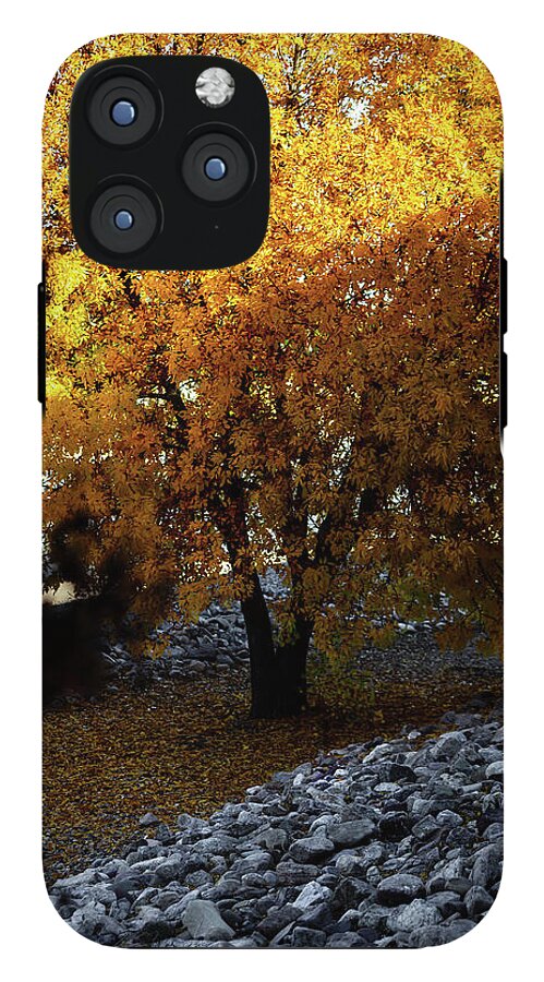 December in Arizona - Phone Case