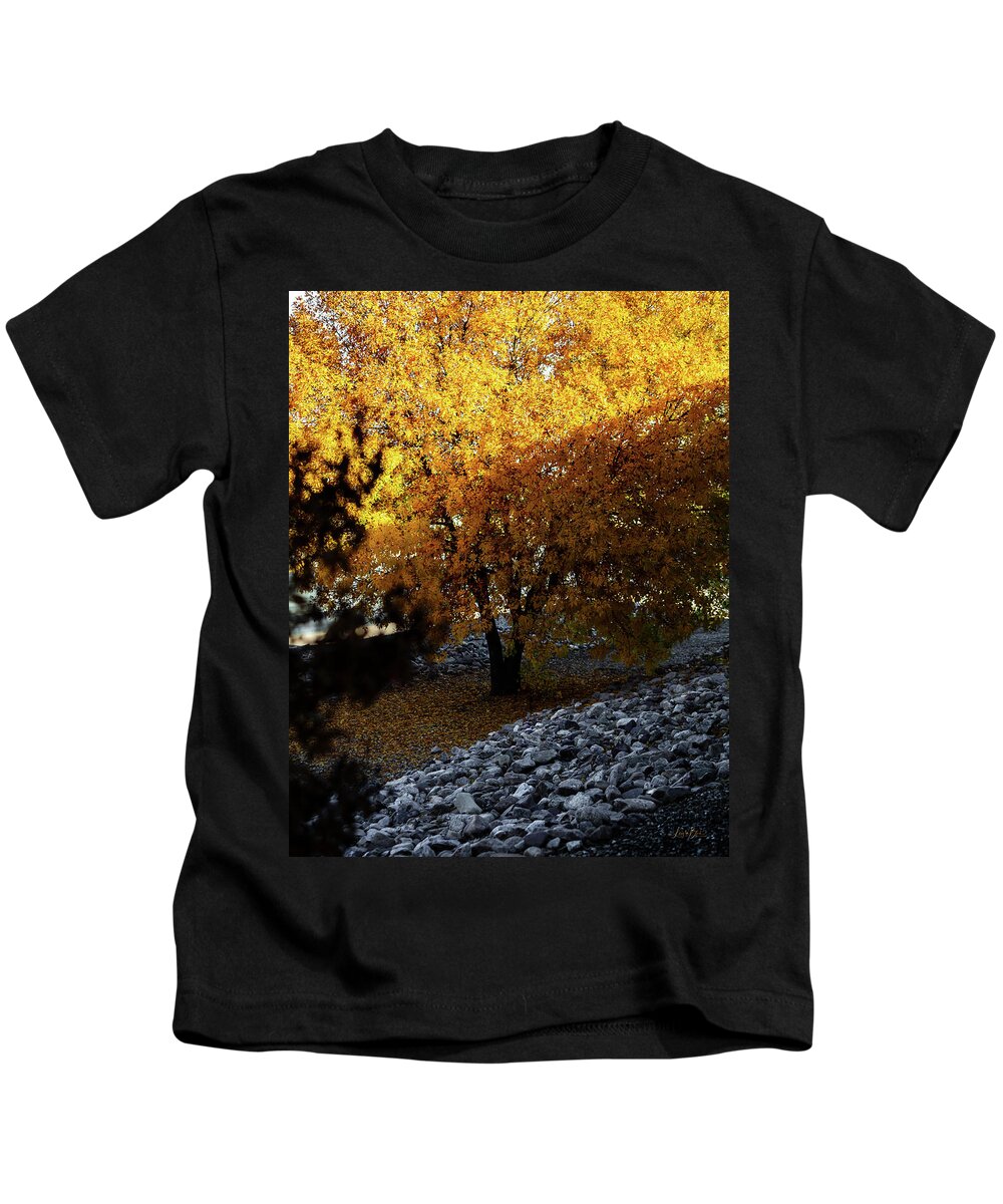 December in Arizona - Kids T-Shirt