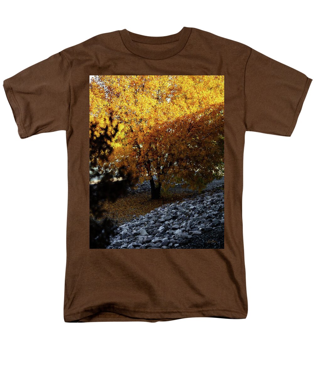 December in Arizona - Men's T-Shirt  (Regular Fit)