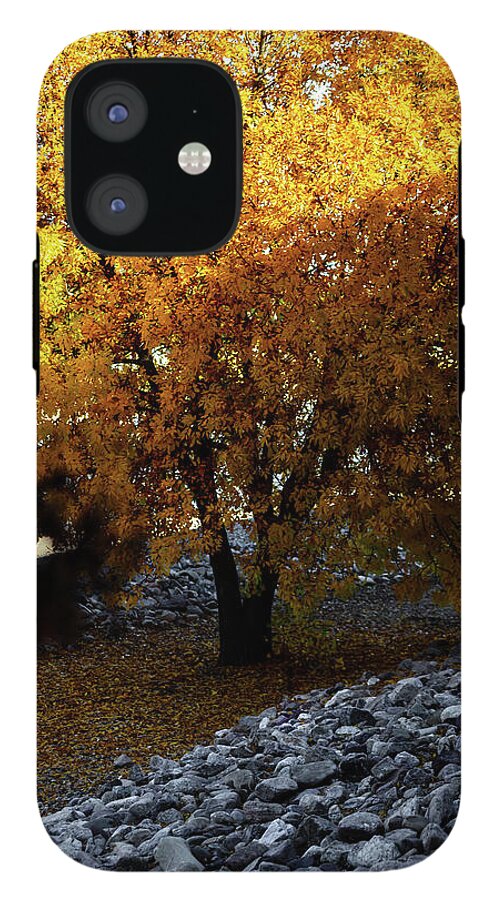 December in Arizona - Phone Case