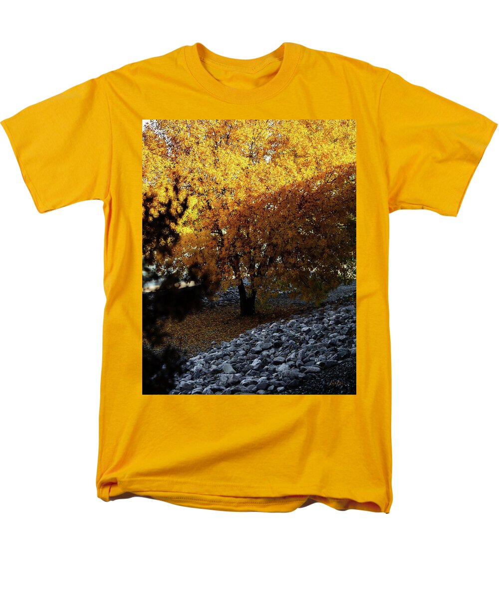 December in Arizona - Men's T-Shirt  (Regular Fit)