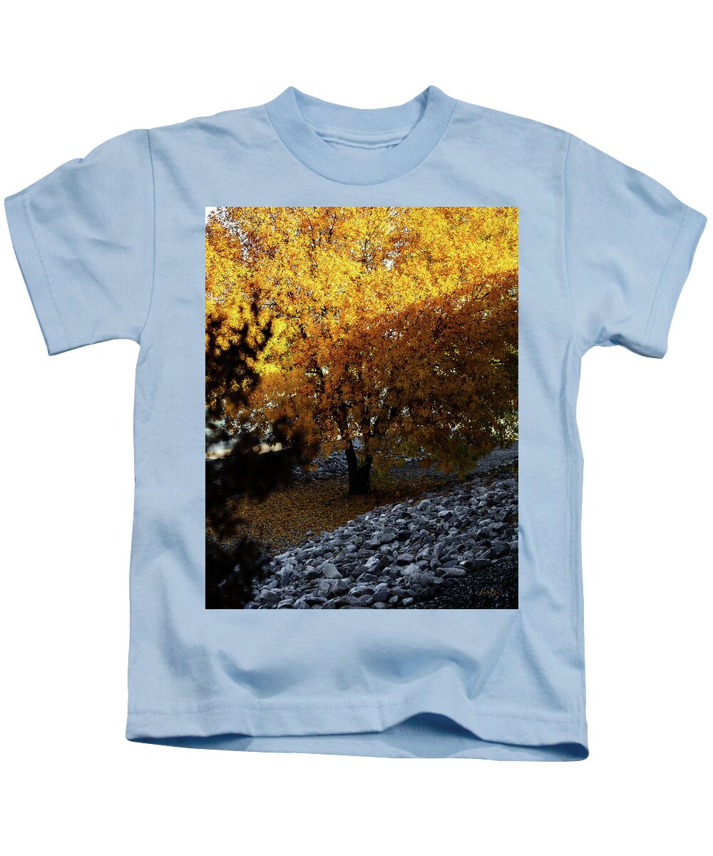 December in Arizona - Kids T-Shirt