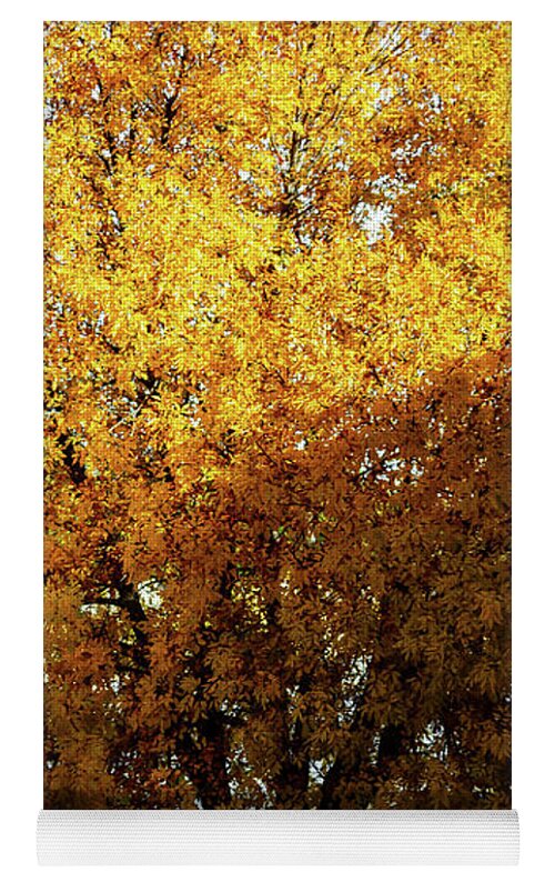 December in Arizona - Yoga Mat