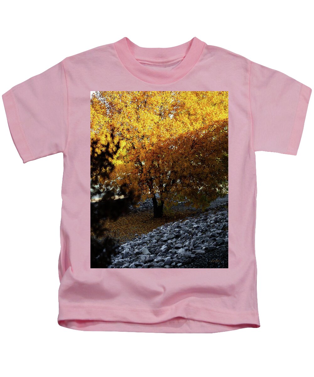 December in Arizona - Kids T-Shirt