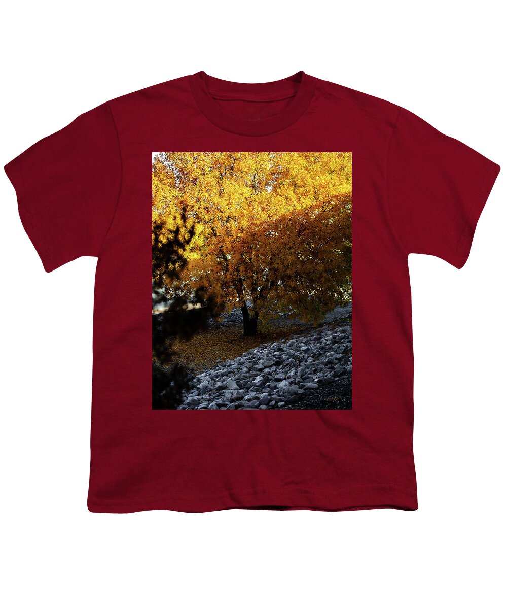 December in Arizona - Youth T-Shirt