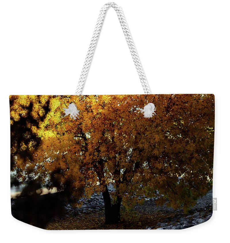 December in Arizona - Weekender Tote Bag