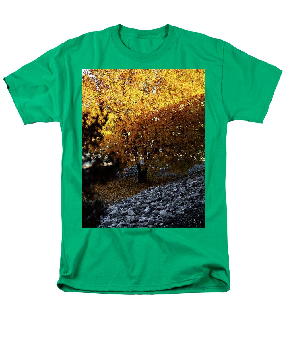 December in Arizona - Men's T-Shirt  (Regular Fit)