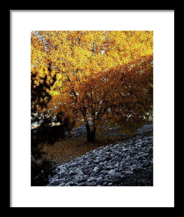 December in Arizona - Framed Print