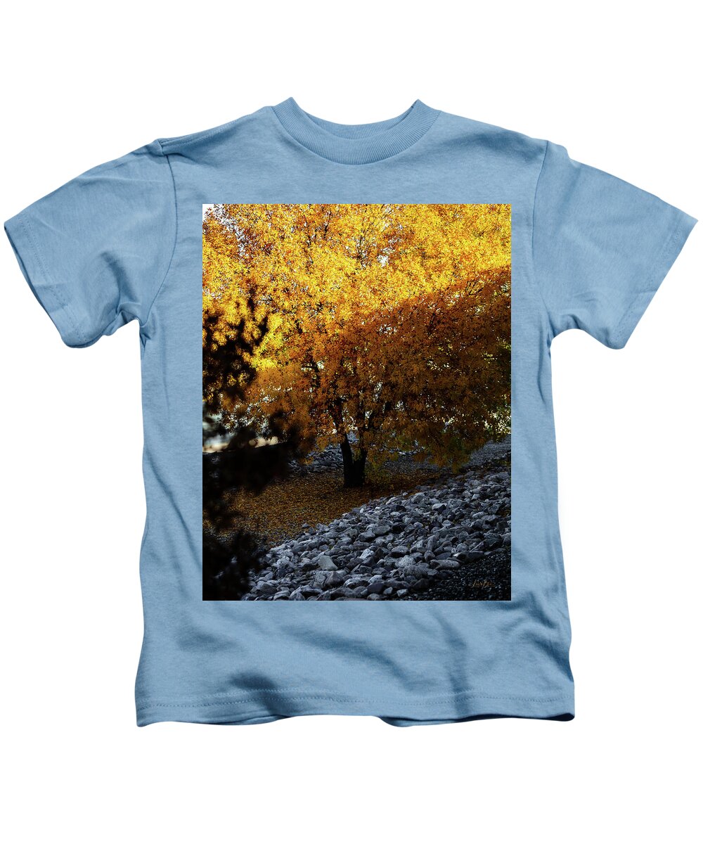 December in Arizona - Kids T-Shirt