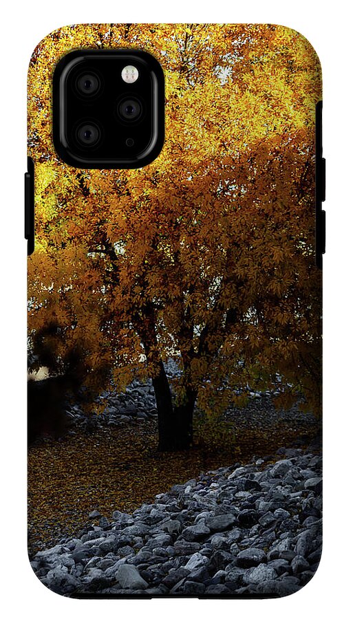 December in Arizona - Phone Case