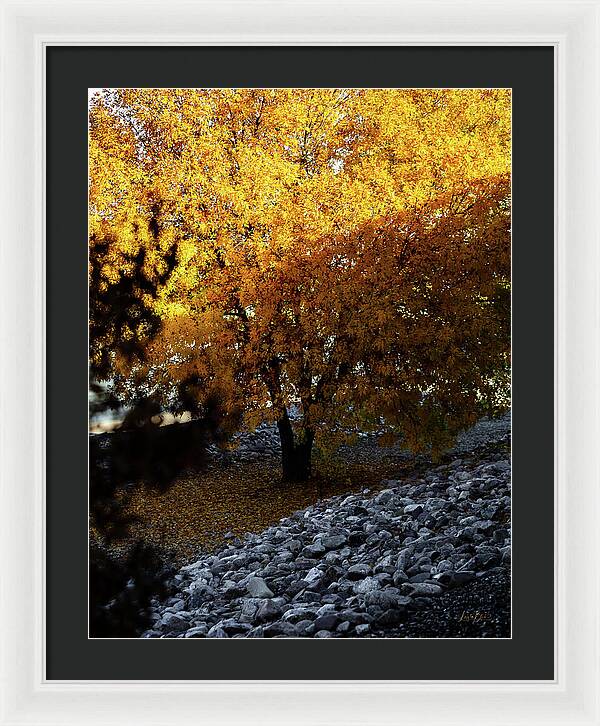 December in Arizona - Framed Print