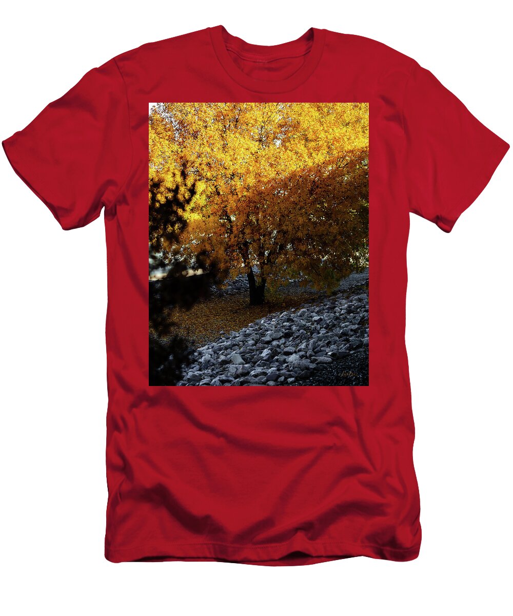December in Arizona - T-Shirt