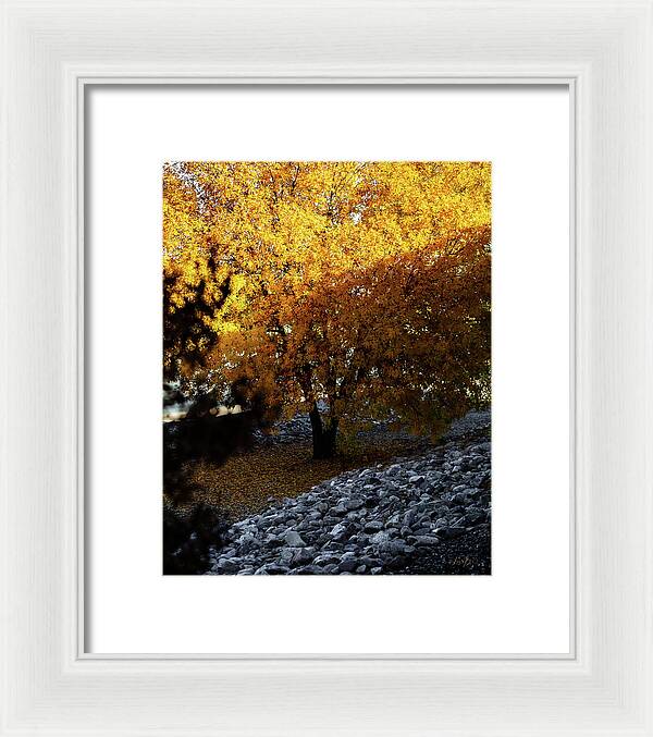 December in Arizona - Framed Print