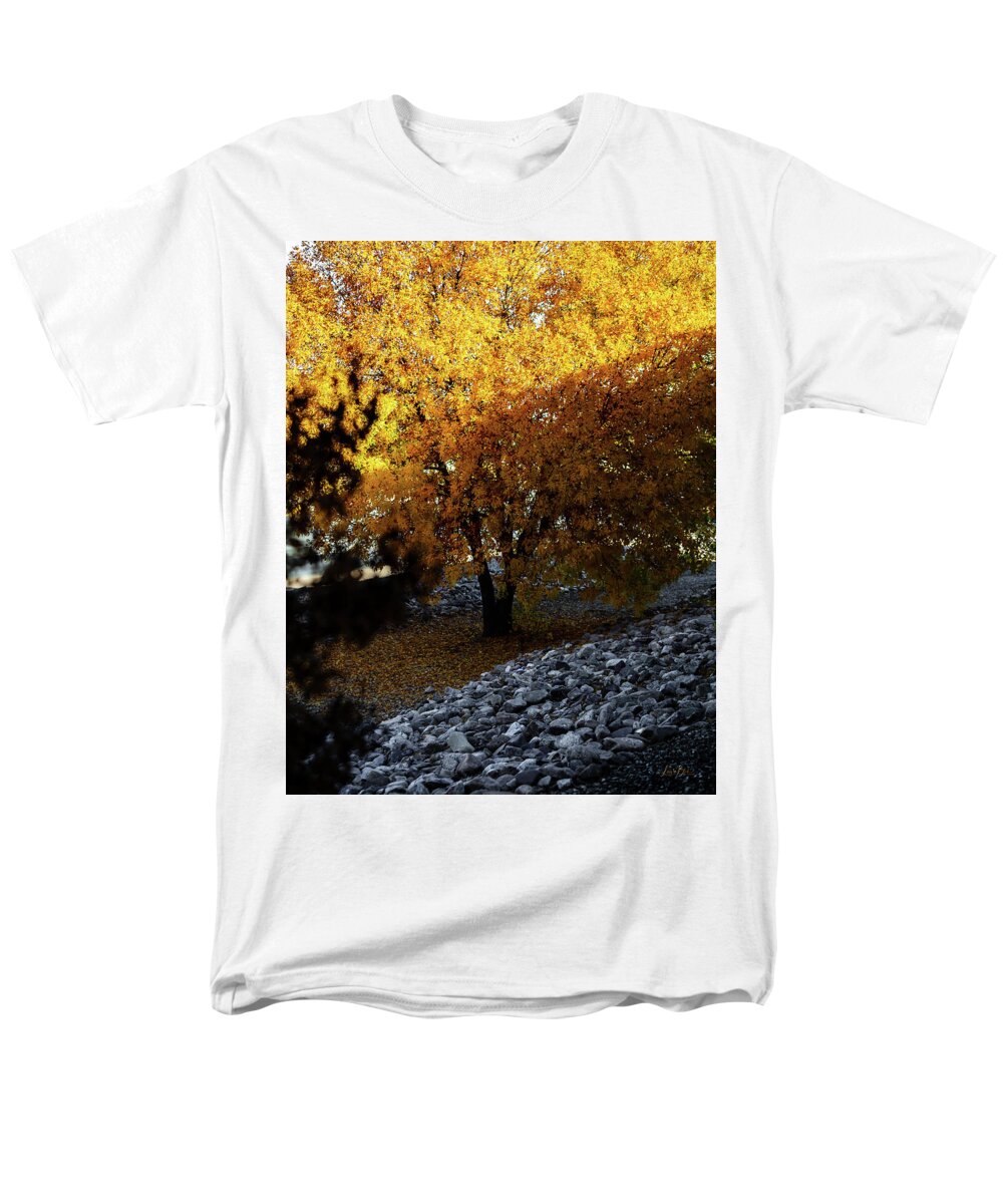 December in Arizona - Men's T-Shirt  (Regular Fit)