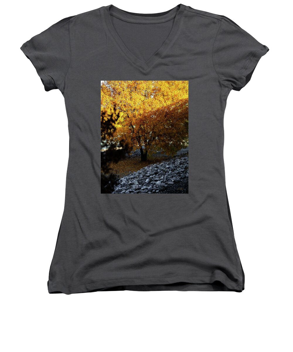 December in Arizona - Women's V-Neck