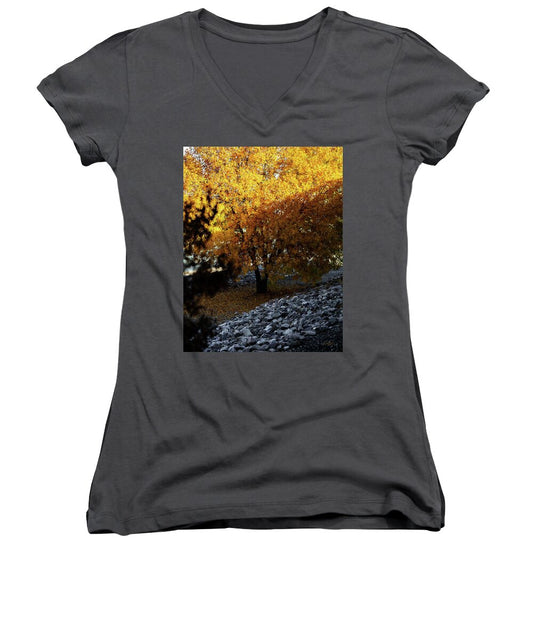 December in Arizona - Women's V-Neck