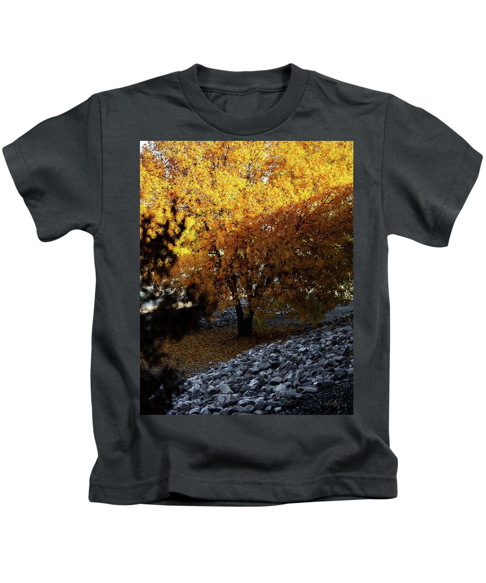 December in Arizona - Kids T-Shirt