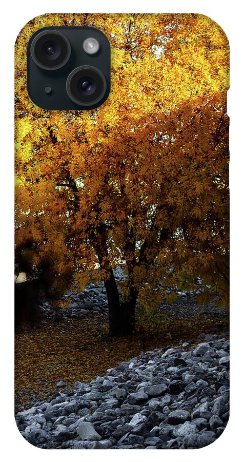 December in Arizona - Phone Case