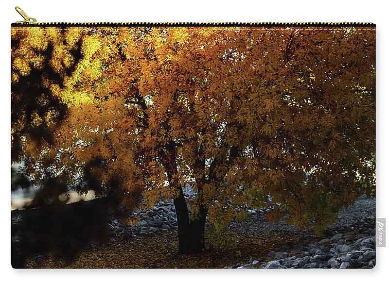 December in Arizona - Zip Pouch