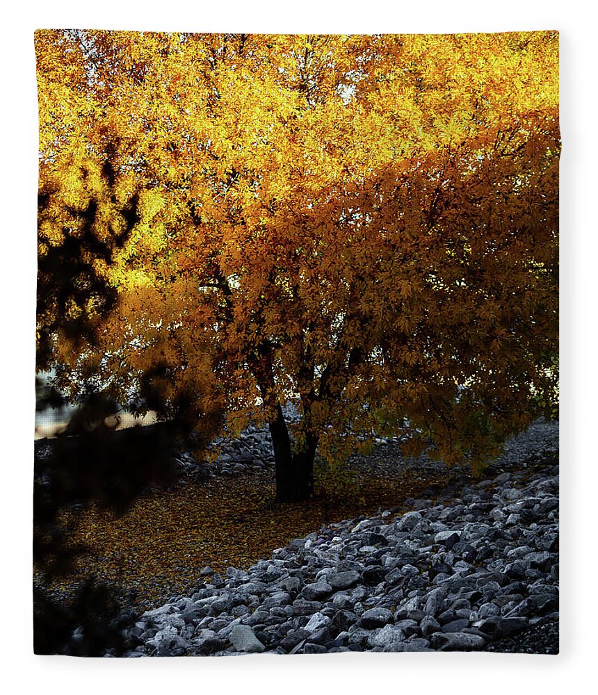 December in Arizona - Blanket