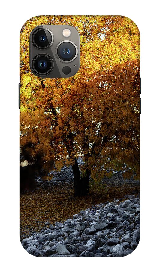 December in Arizona - Phone Case