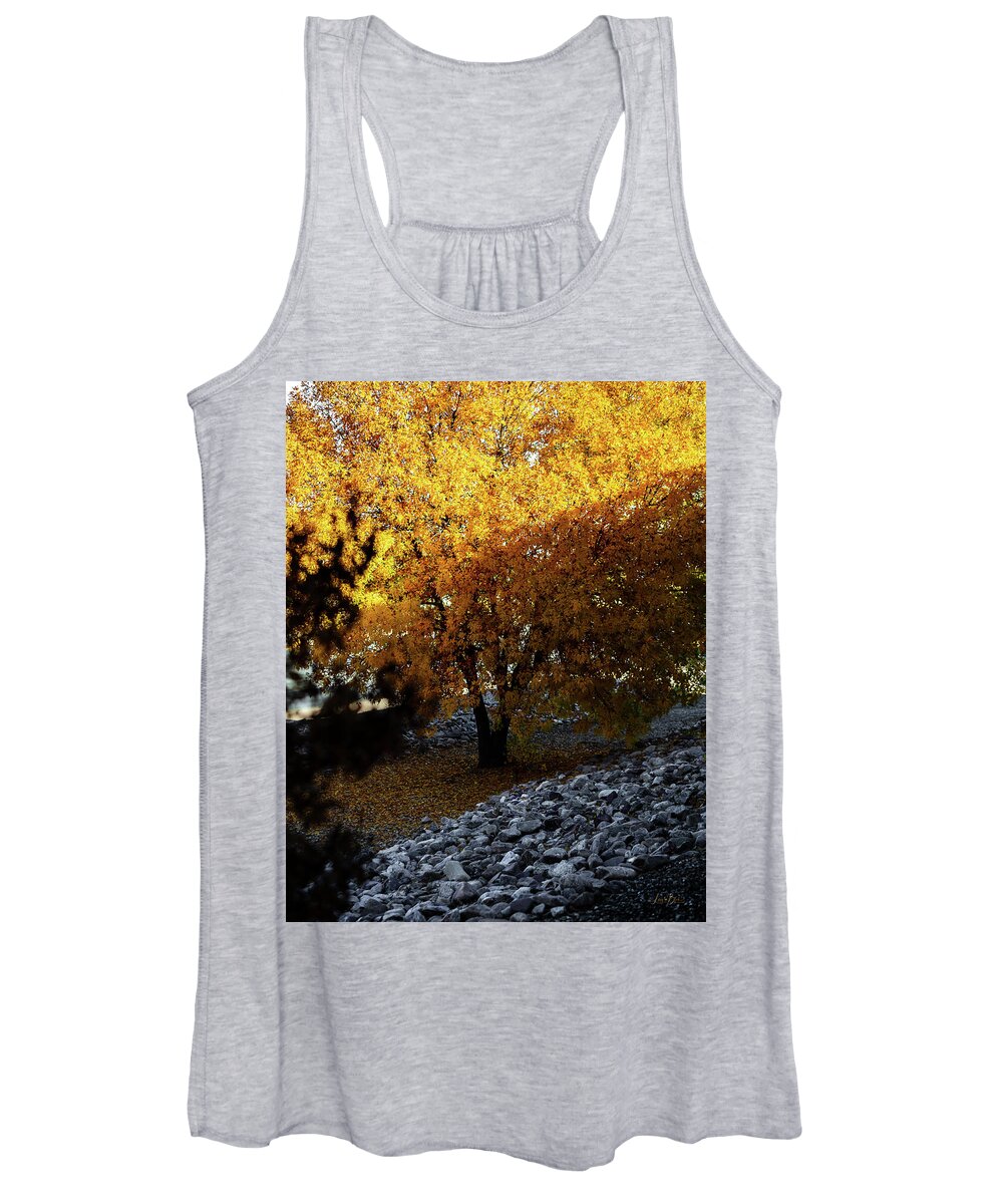 December in Arizona - Women's Tank Top