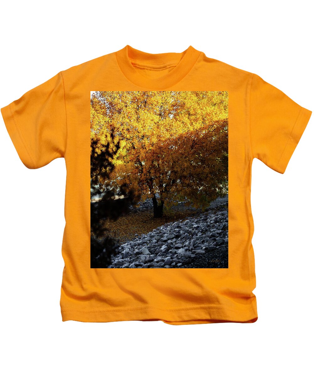 December in Arizona - Kids T-Shirt