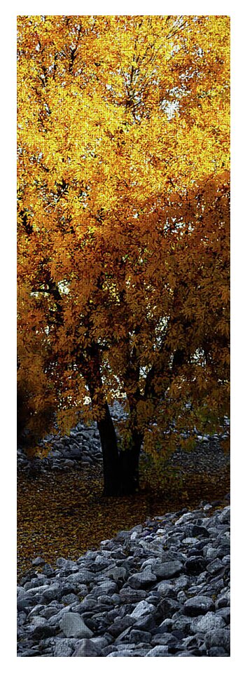 December in Arizona - Yoga Mat