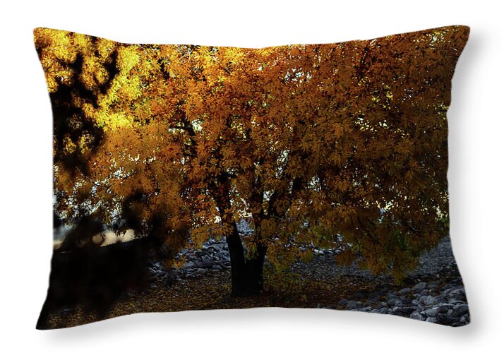 December in Arizona - Throw Pillow
