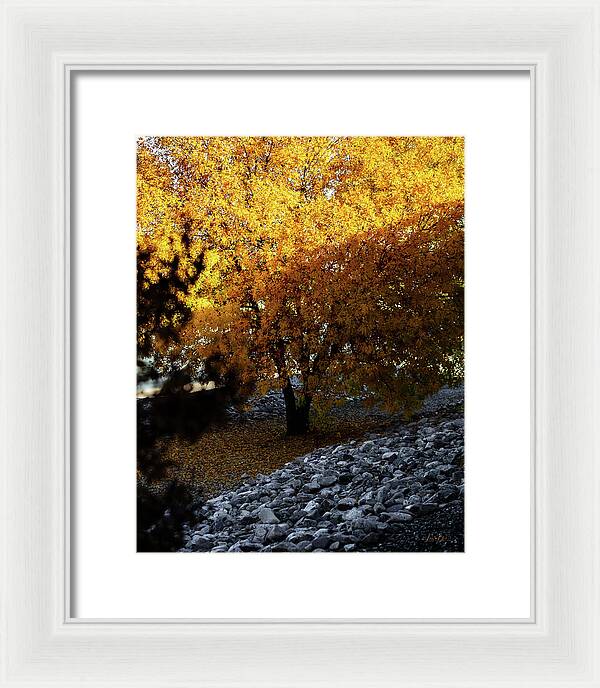 December in Arizona - Framed Print